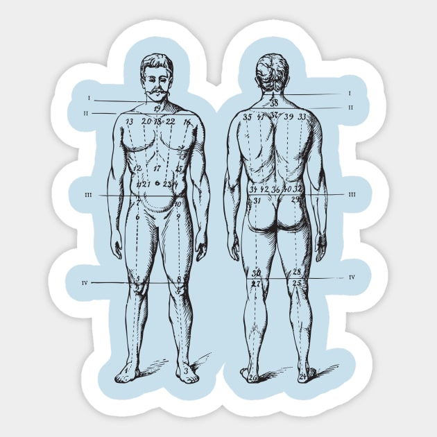 Anatomy body Sticker by chapter2